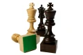 3142.webp
