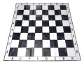 3796.jpg