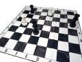 3798.jpg